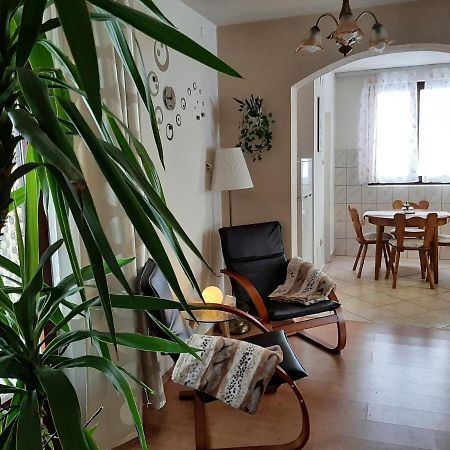 Apartment Zora - Guest House Ogulin Dış mekan fotoğraf