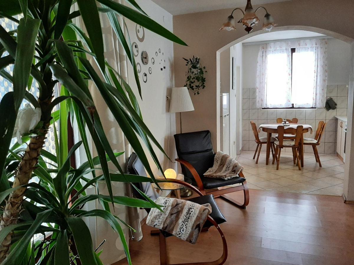 Apartment Zora - Guest House Ogulin Dış mekan fotoğraf
