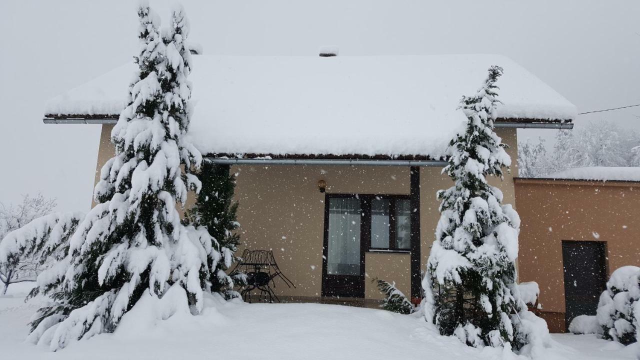 Apartment Zora - Guest House Ogulin Dış mekan fotoğraf